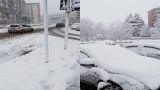Neve a roma: 7 anni dopo l’ultima nevicata e il suo ricordo speciale
