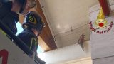 Falco salvato dai vigili del fuoco a Roma dopo essersi impigliato in una rete