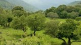 Parco naturale monti della tolfa tra storia millenaria e natura selvaggia