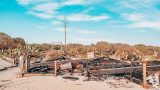 Gestori del settimo cielo e mec’s village di capocotta: novità e opportunità