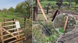 Giardino delle farfalle a roma vandalizzato per la terza volta al parco degli acquedotti