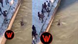 Ragazzo cade nel Tevere: il web lo trasforma in jeeg robot tra ironia e critiche