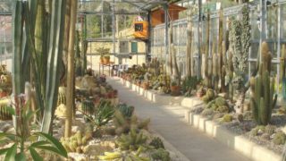 Orto botanico di tor vergata a roma: come partecipare alla visita guidata