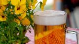 Sagre a roma e nel lazio: eventi imperdibili 15 e 16 marzo 2025
