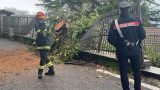 Rocca di Papa, albero caduto blocca casa e danneggia auto